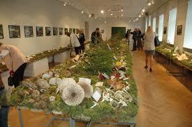 Latvijas Nacionālais vēstures muzejs